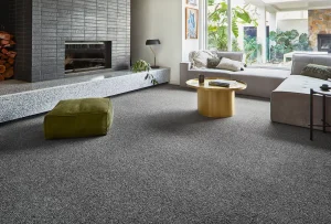 charcoal coloured carpet