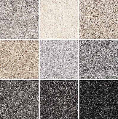 carpet colours